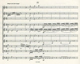 Score 4