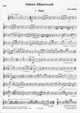 Rehfeld, Kurt % Heitere Blasermusik (Score & Parts)-WW5