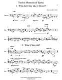 Leventhal, Amy % Twelve Moments of Sanity - SOLO BSN