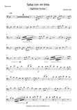 Bassoon High