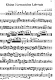 Bassoon