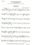 Bassoon 