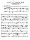 Schubert, Franz % Sonata in g minor D821 "Arpeggione" (Tanaka) - BSN/PN