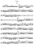 Bassoon 2nd movement
