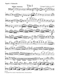 Bassoon