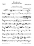 Bassoon