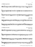 Bassoon