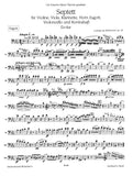 Bassoon