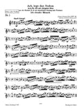Oboe