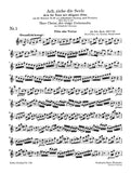 Oboe