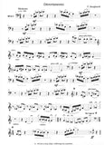 Bassoon 1