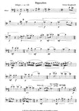 Bassoon 1