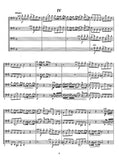 Score 3