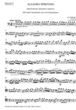 Bassoon