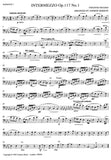 Bassoon