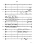 Score 3