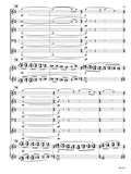Stravinsky, Igor % The Rite of Spring-WW5/PN