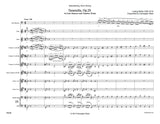 Milde, Ludwig % Tarantella Op 20 (score & parts)-BSN/CHAMBER WINDS