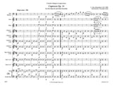 Weissenborn, Julius % Capriccio, op. 14 (score & parts) - BSN/CHAMBER WINDS