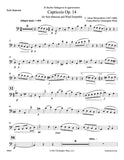 Weissenborn, Julius % Capriccio, op. 14 (score & parts) - BSN/CHAMBER WINDS