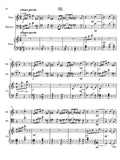 bassoon