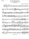 Bassoon 2
