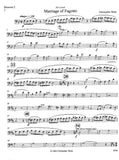 Bassoon 2