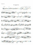 Bassoon 3st mvmt