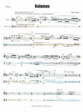 Bassoon 
