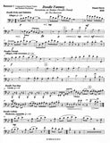 Bassoon 1