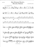 Bassoon 1