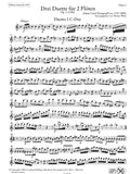 flute 1