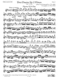 flute  1