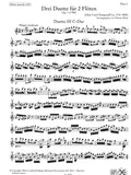 Flute 1