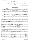 Sonata 5