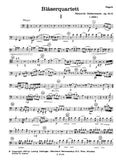 Bassoon 1