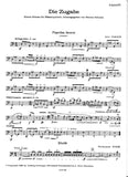 Bassoon 1
