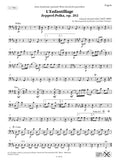 Bassoon 1