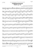 Bassoon 1