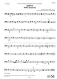 Bassoon 1