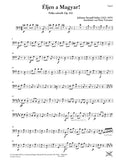 Bassoon 1