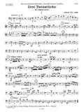 Bassoon 1