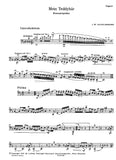 Bassoon 1