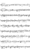 Olthuis, Kees % Divertimento-SOLO BSN