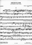 Bassoon 1