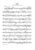 Bassoon 