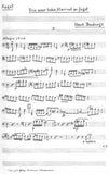 Bassoon 