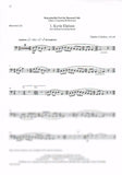 Bassoon 