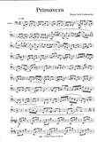 Bassoon