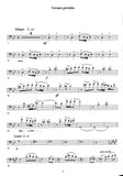 Bassoon 1